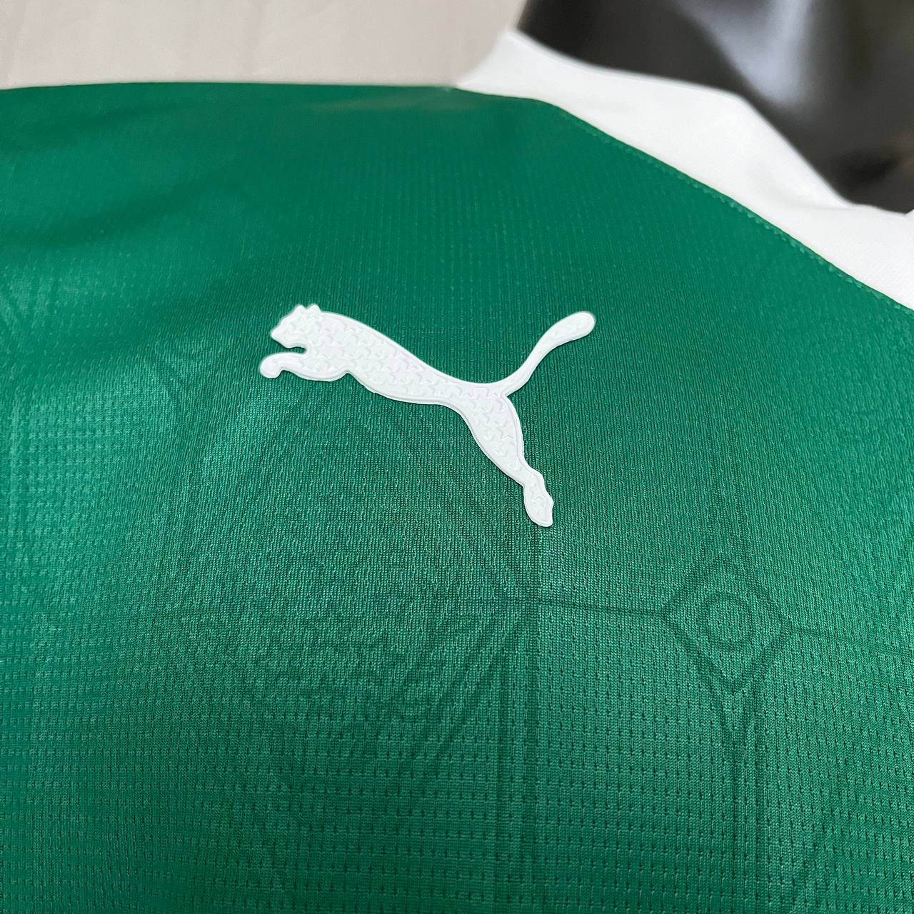 Camisa do Palmeiras Titular Player 2025/2026