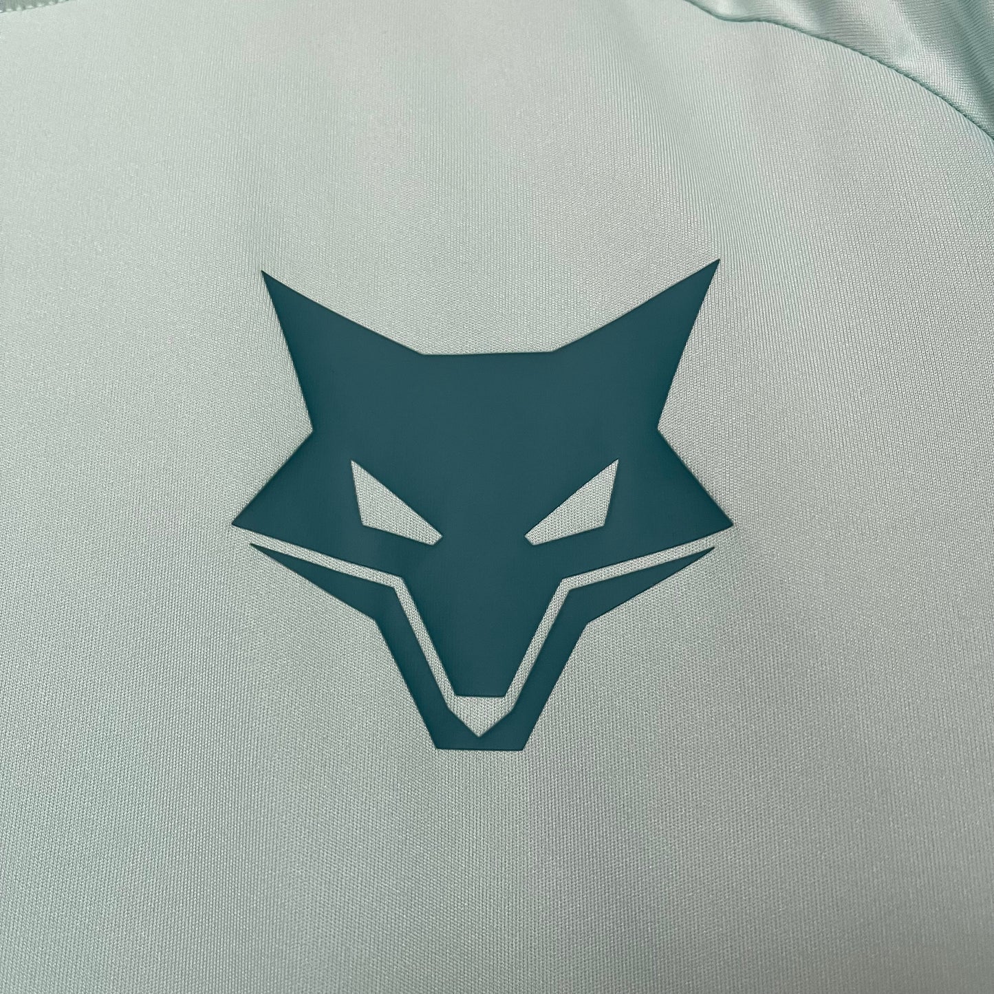 Camisa do Cruzeiro Treino 2025/2026