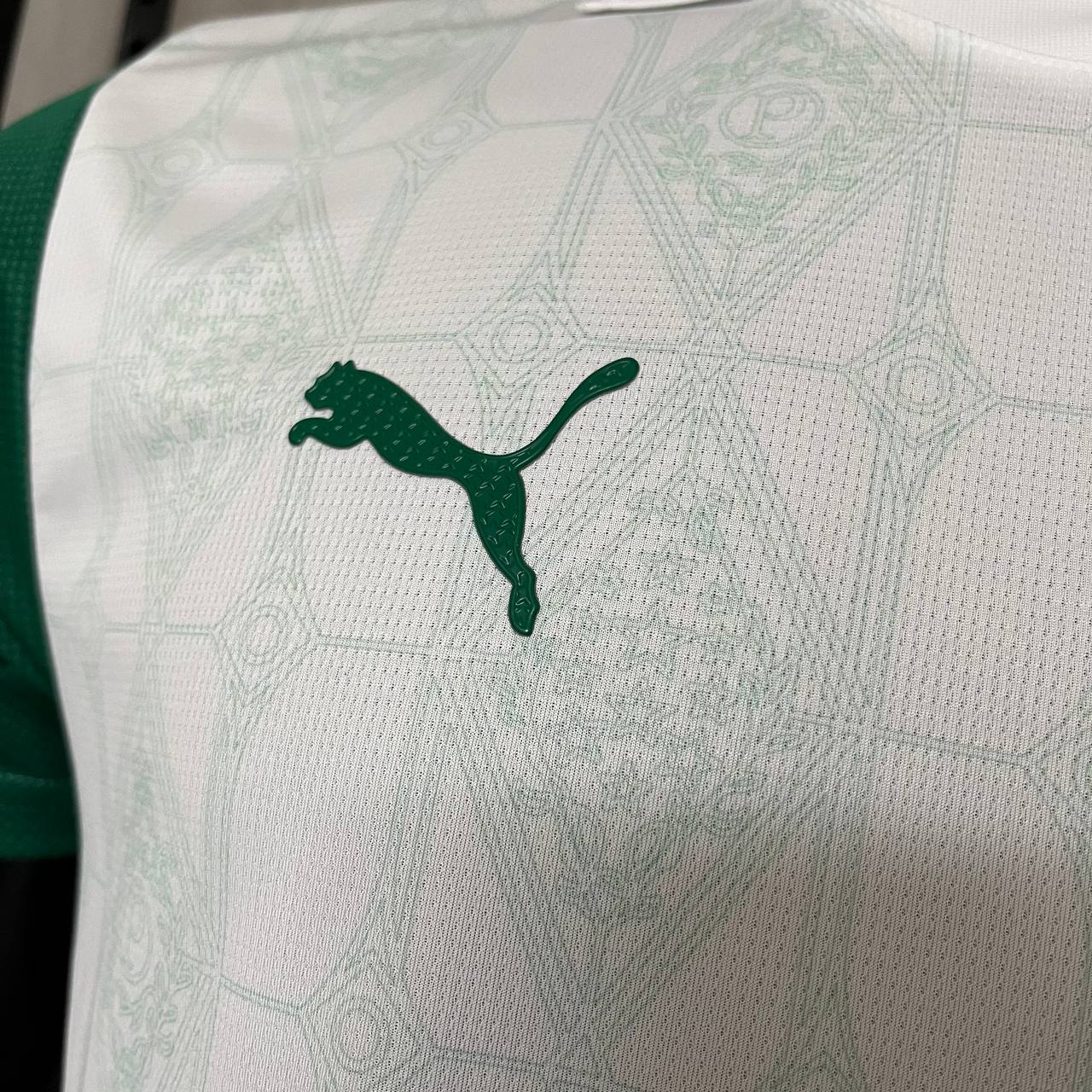 Camisa do Palmeiras Reserva Player 2025/2026