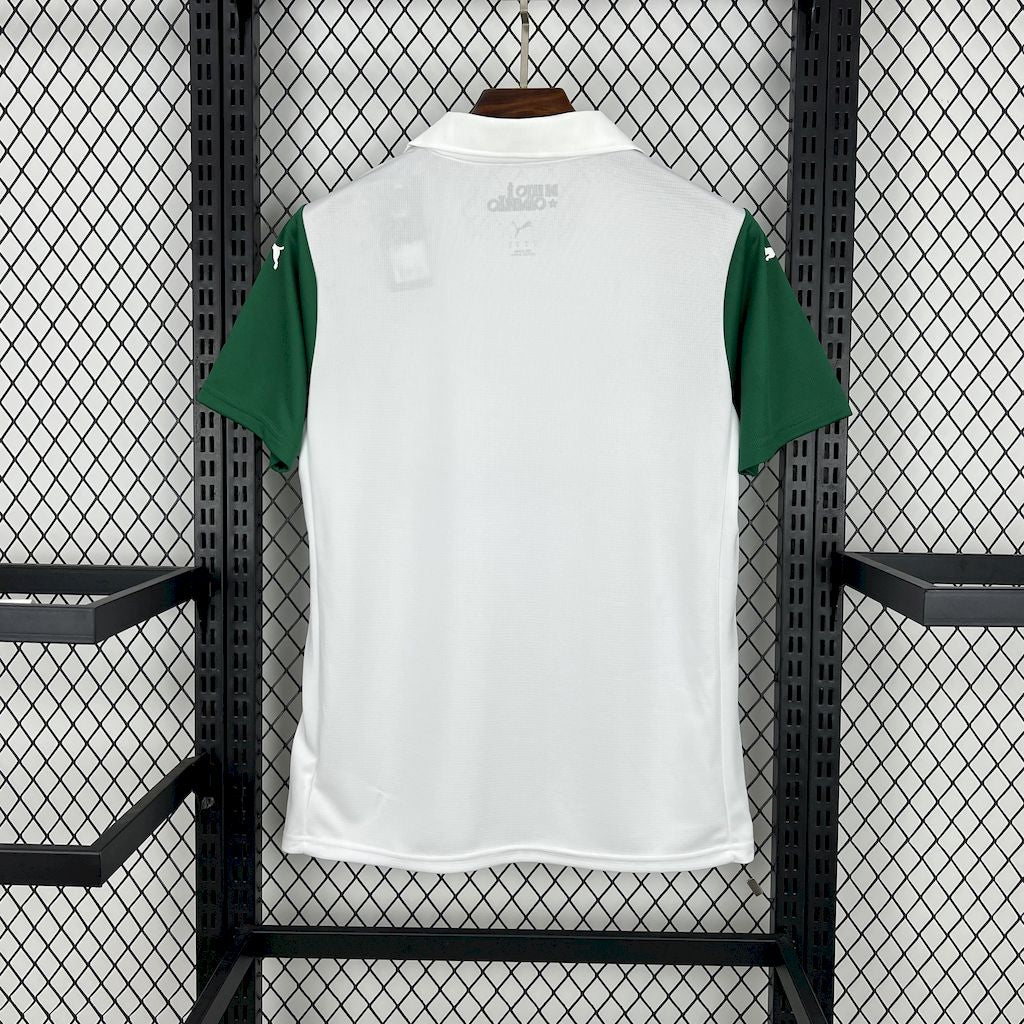 Camisa do Palmeiras Reserva 2025/2026