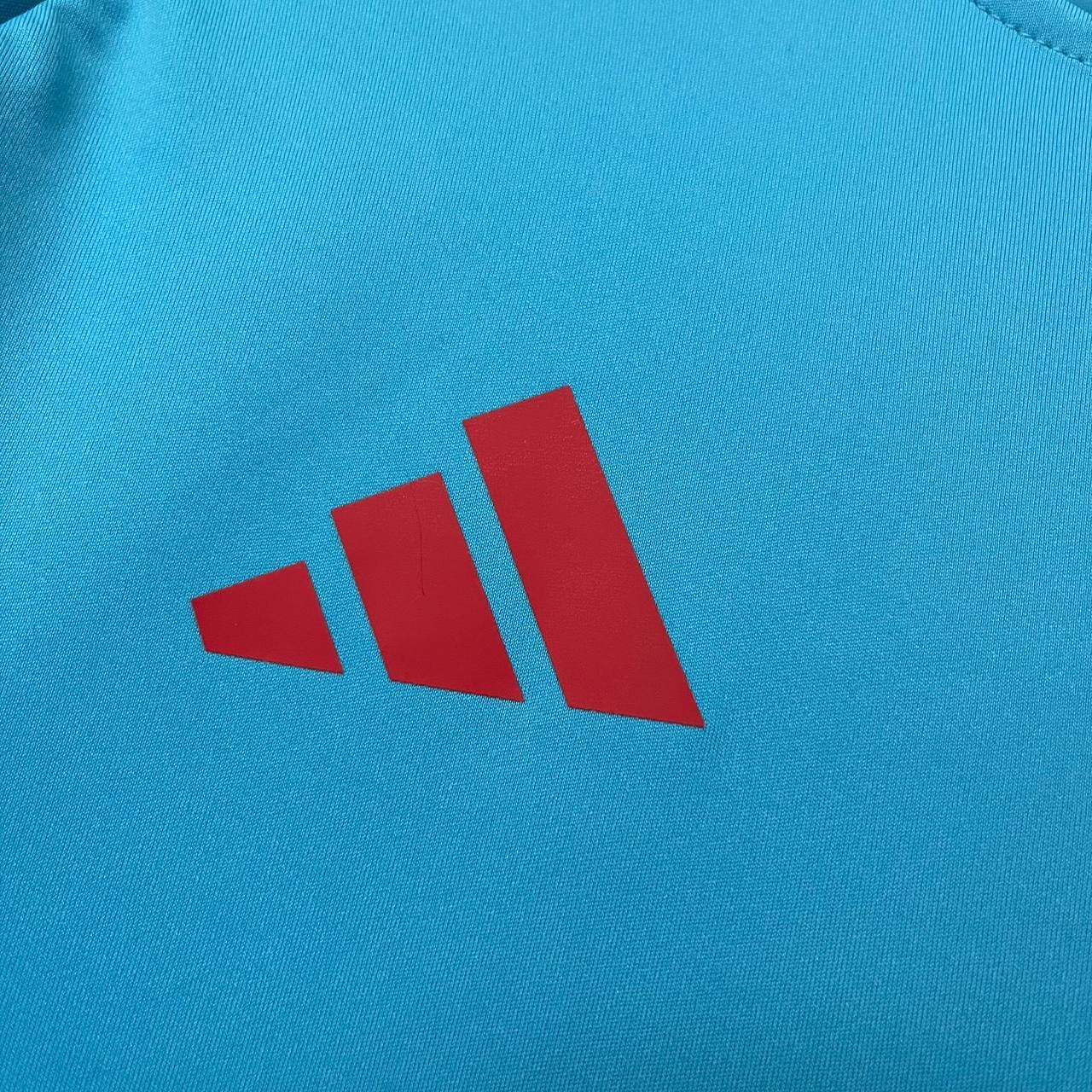 Camisa de Treino do Flamengo Azul Claro 2025/2026