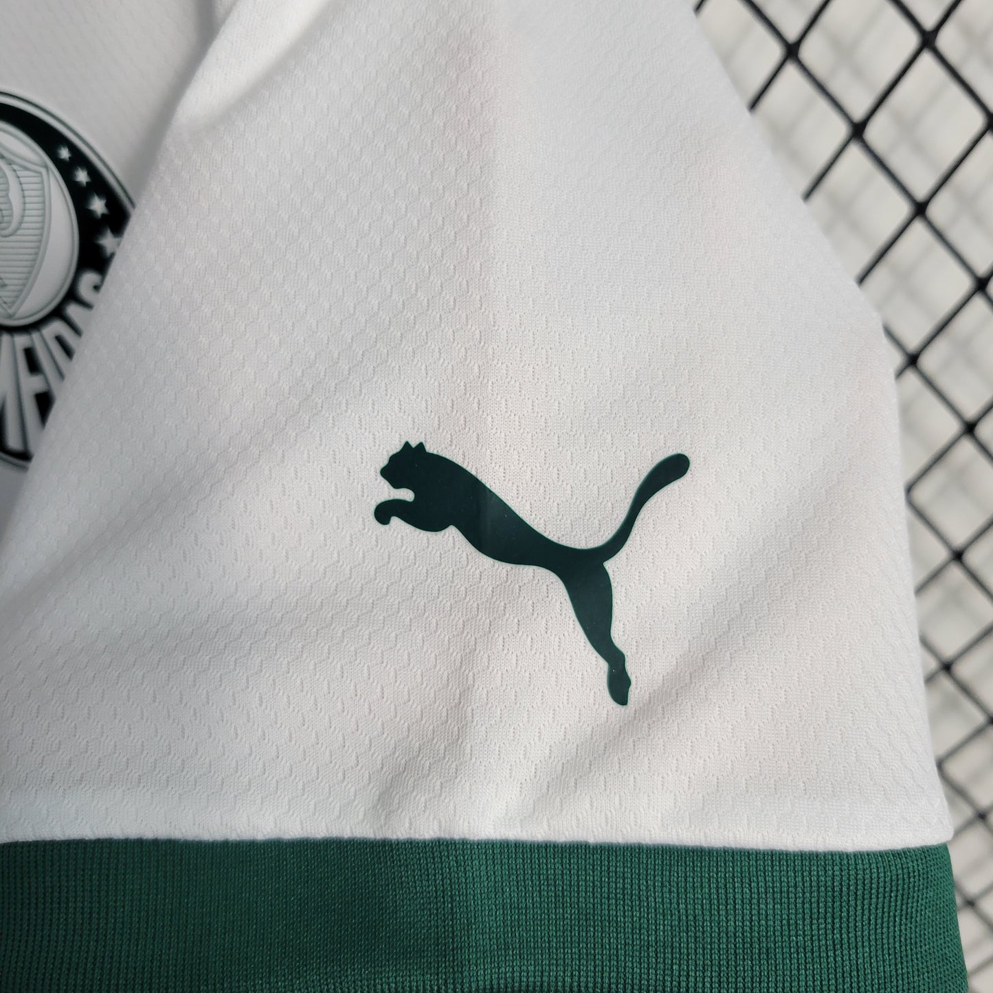 Camisa do Palmeiras Reserva 2023/2024